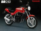 Kawasaki BR 250 Casual Sports